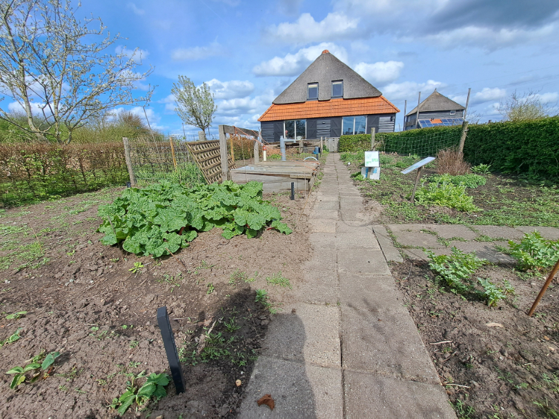 Moestuin