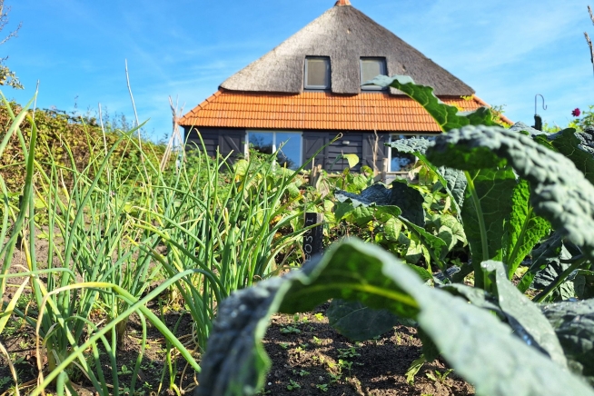 Workshop Eten uit de Natuur