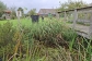 Help mee op de Natuurwerkdag!