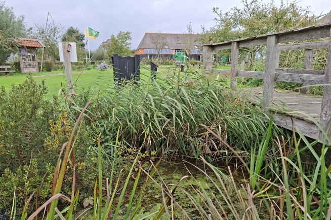 Help mee op de Natuurwerkdag!