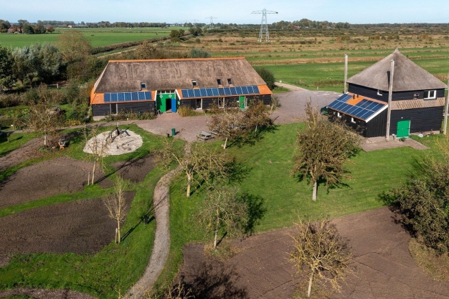 Fruit plukken in eigen boomgaard