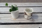 Workshop Vilten met schapenwol (13.00 - 14.30 uur)