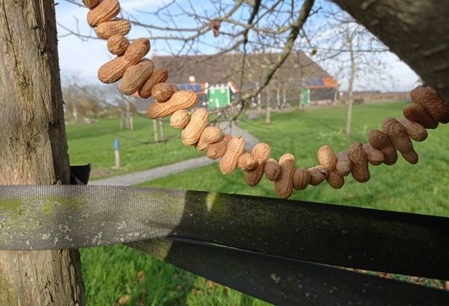 Maak vogelvoer (tussen 12.30 - 16.00 uur)