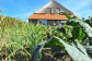 Workshop Eten uit de Natuur