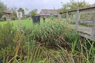 Help mee op de Natuurwerkdag!